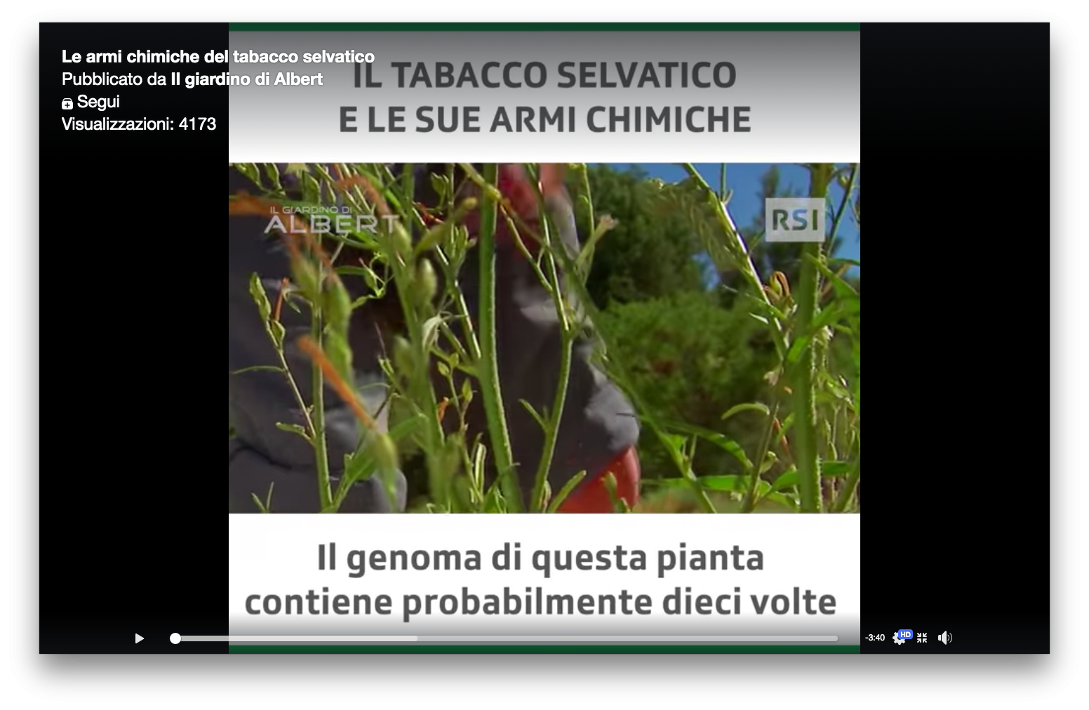 Le armi chimiche del tabacco selvatico